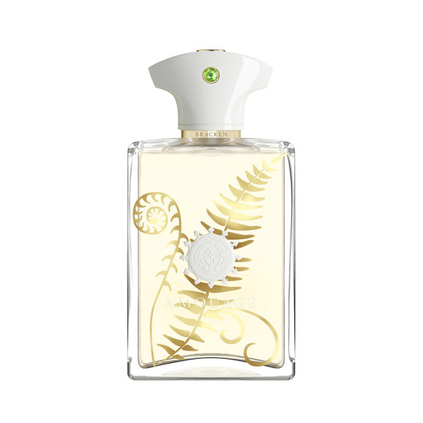 عطر آمواج براکن مردانه ادوپرفیوم 100 میل